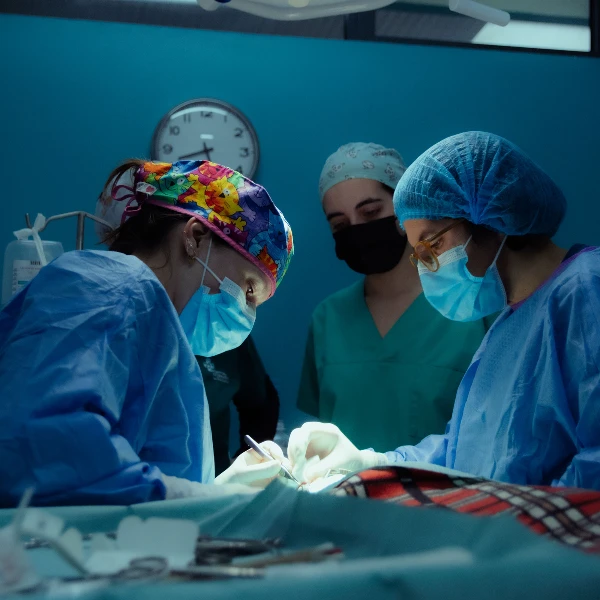 Cirurgia 24h