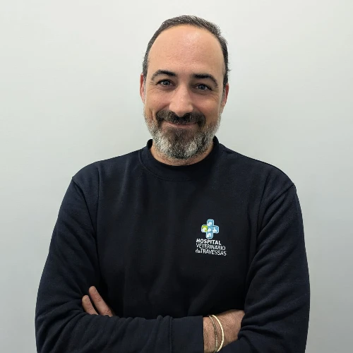 André Mendonça